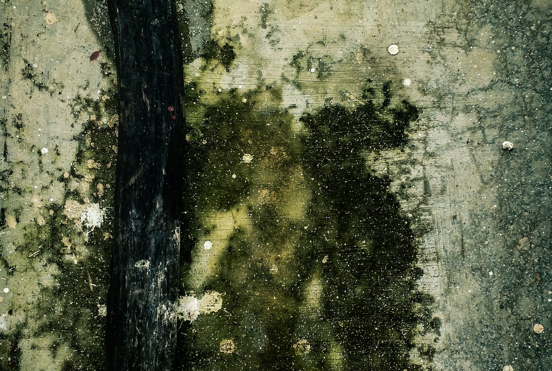 Advanced Moisture Meter Testing in Home Inspections: How to Accurately Detect Hidden Water Damage in Walls, Floors, and EIFS Systems