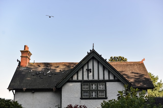 Common Home Inspection Issues in Maryland Properties and How to Avoid Them