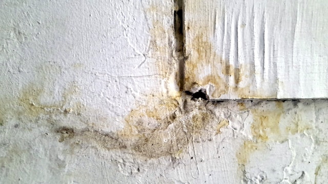 Signs Your Maryland Home May Have Hidden Moisture Problems and When to Schedule an EIFS Inspection